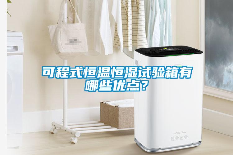 可程式恒温恒湿试验箱有哪些优点?