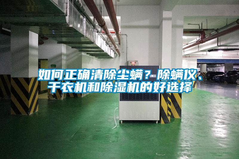 如何正确清除尘螨?除螨仪、干衣机和除湿机的好选择