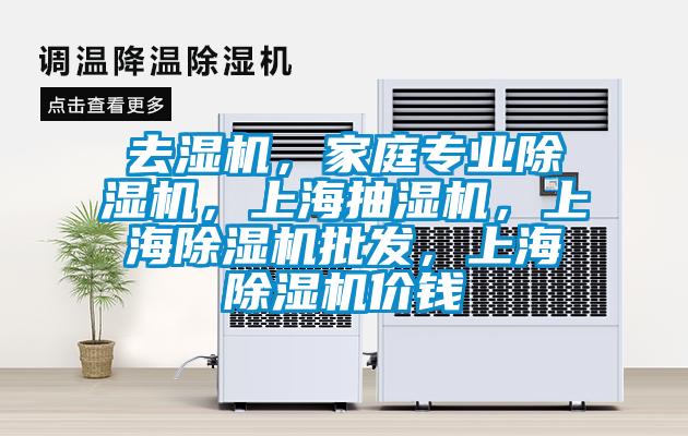 去湿机,家庭专业除湿机,上海抽湿机,上海除湿机批发,上海除湿机价钱