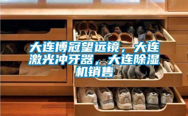 大连博冠望远镜,大连激光冲牙器,大连除湿机销售