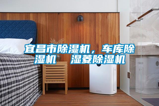 宜昌市除湿机,车库除湿机  湿菱除湿机