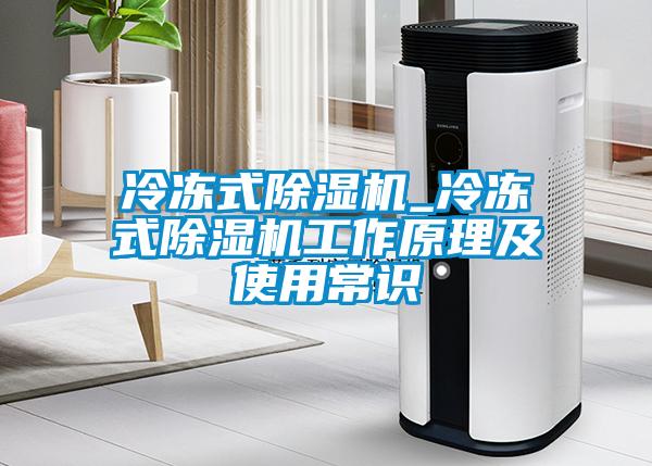 冷冻式除湿机_冷冻式除湿机工作原理及使用常识