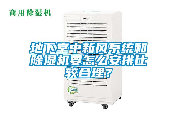 地下室中新风系统和除湿机要怎么安排比较合理?