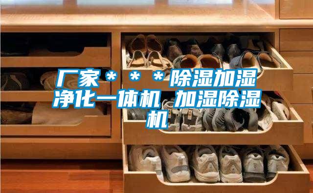 厂家***除湿加湿净化一体机 加湿除湿机