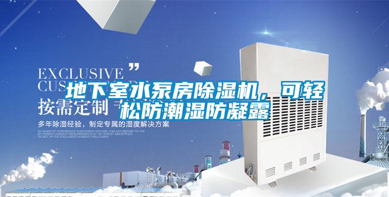 地下室水泵房除湿机,可轻松防潮湿防凝露