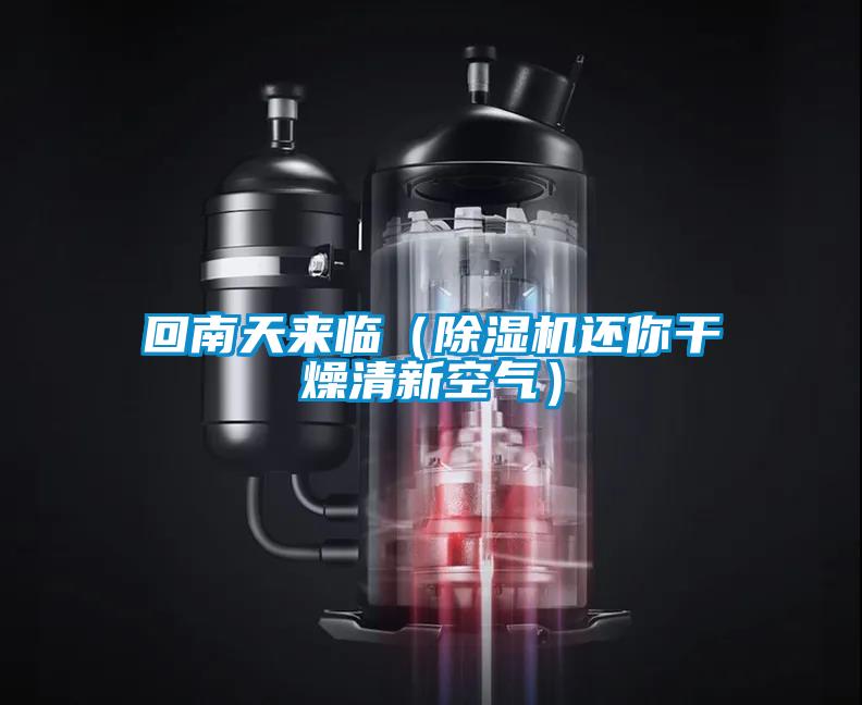 回南天来临(除湿机还你干燥清新空气)