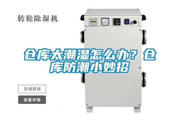 仓库太潮湿怎么办?仓库防潮小妙招