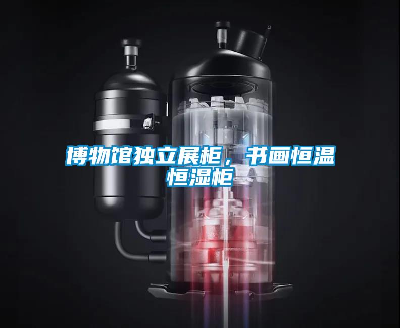博物馆独立展柜,书画恒温恒湿柜
