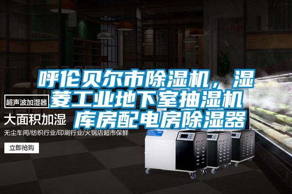 呼伦贝尔市除湿机,湿菱工业地下室抽湿机  库房配电房除湿器