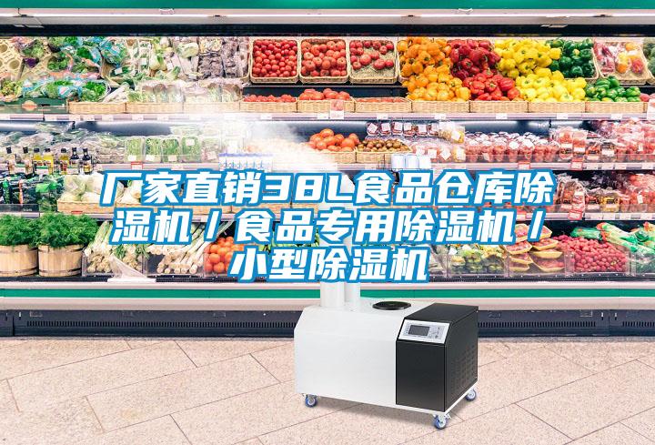 厂家直销38L食品仓库除湿机/食品专用除湿机/小型除湿机