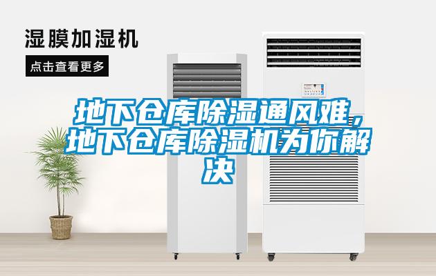 地下仓库除湿通风难,地下仓库除湿机为你解决