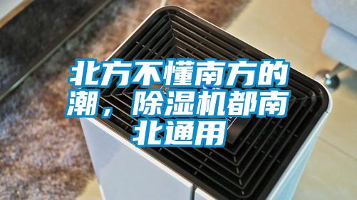 北方不懂南方的潮,除湿机都南北通用