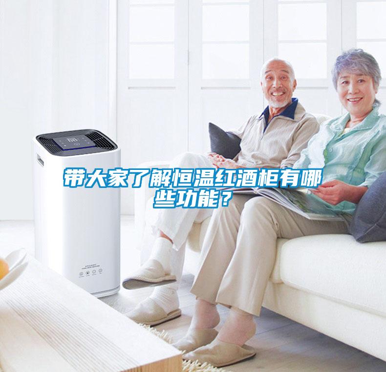 带大家了解恒温红酒柜有哪些功能?