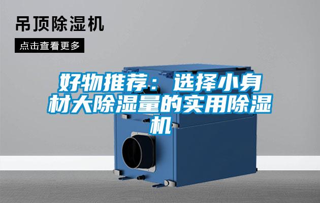 好物推荐:选择小身材大除湿量的实用除湿机