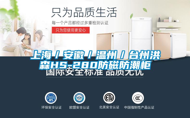 上海/安徽/温州/台州洪森HS-280防磁防潮柜