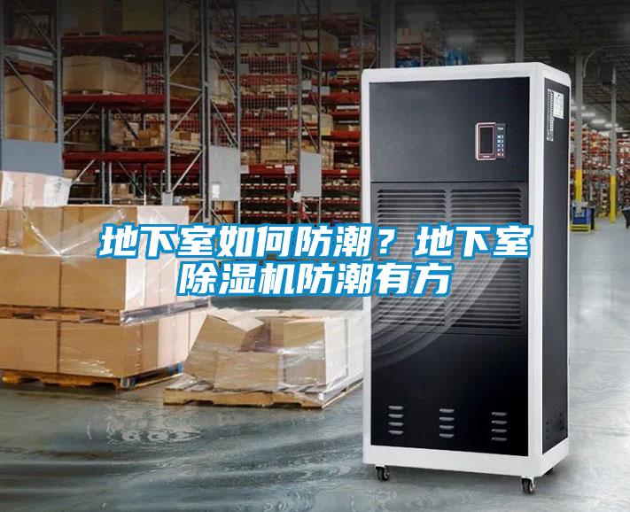 地下室如何防潮?地下室除湿机防潮有方