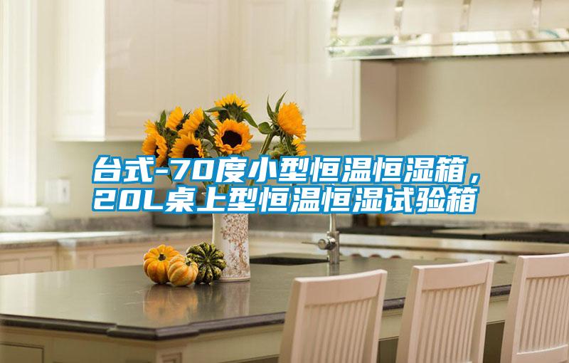 台式-70度小型恒温恒湿箱,20L桌上型恒温恒湿试验箱