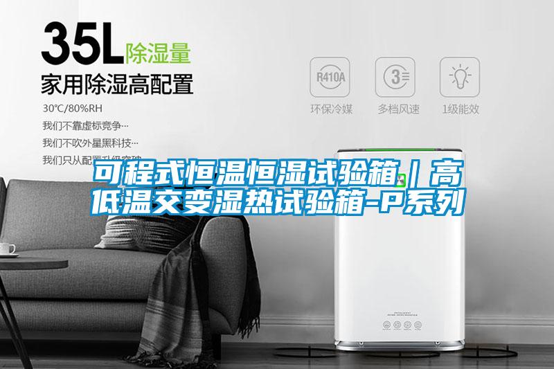 可程式恒温恒湿试验箱|高低温交变湿热试验箱-P系列