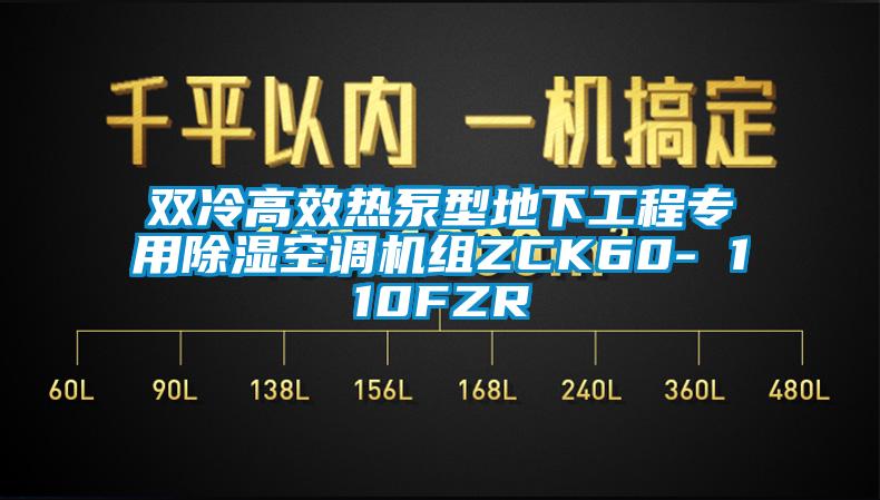 双冷高效热泵型地下工程专用除湿空调机组ZCK60- 110FZR