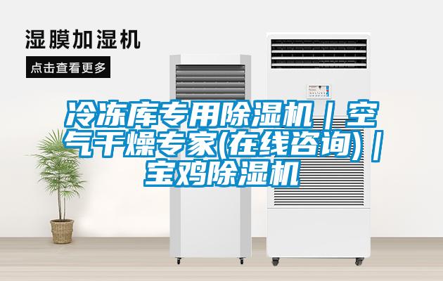 冷冻库专用除湿机|空气干燥专家(在线咨询)|宝鸡除湿机