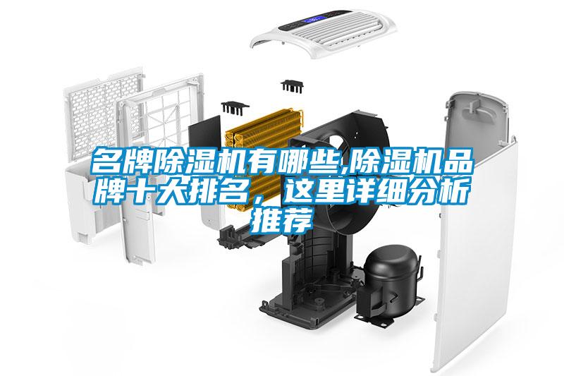名牌除湿机有哪些,除湿机品牌十大排名,这里详细分析推荐