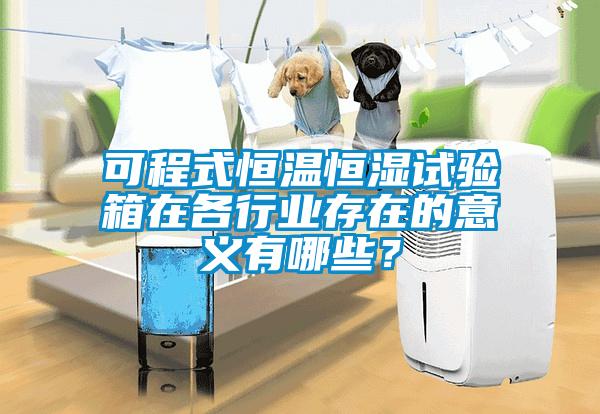 可程式恒温恒湿试验箱在各行业存在的意义有哪些?