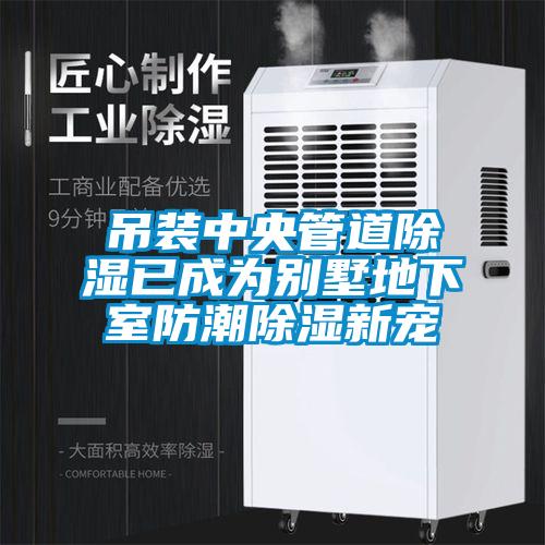 吊装中央管道除湿已成为别墅地下室防潮除湿新宠