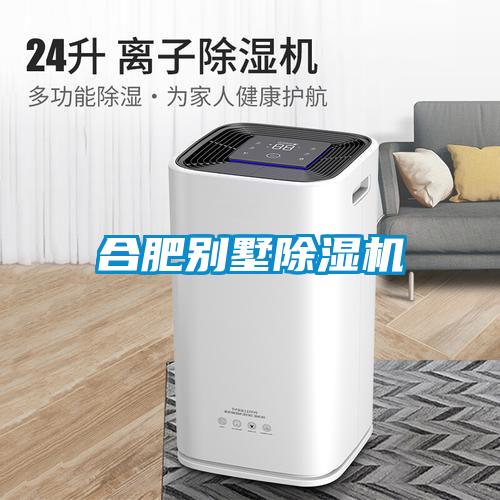 合肥别墅除湿机