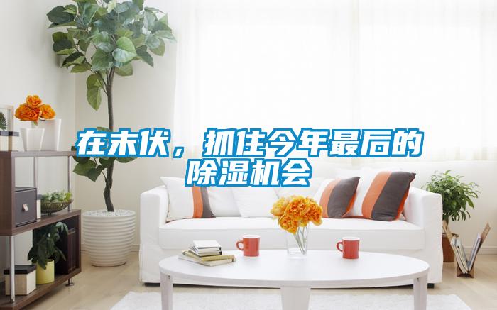 在末伏,抓住今年最后的除湿机会