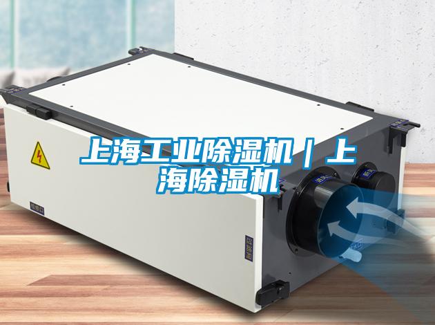 上海工业除湿机|上海除湿机