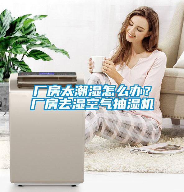 厂房太潮湿怎么办?厂房去湿空气抽湿机