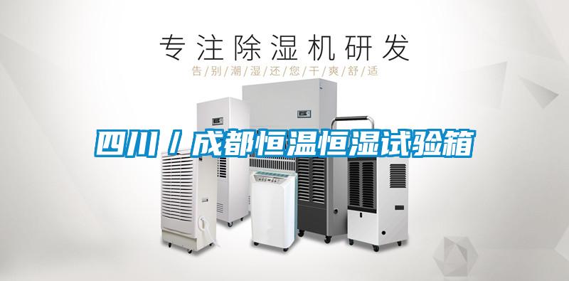 四川/成都恒温恒湿试验箱