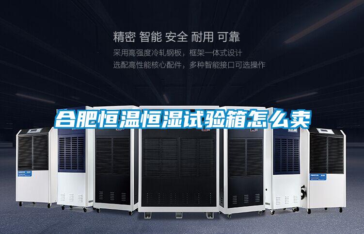 合肥恒温恒湿试验箱怎么卖