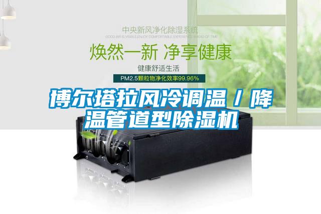 博尔塔拉风冷调温/降温管道型除湿机