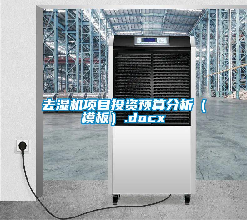 去湿机项目投资预算分析(模板).docx