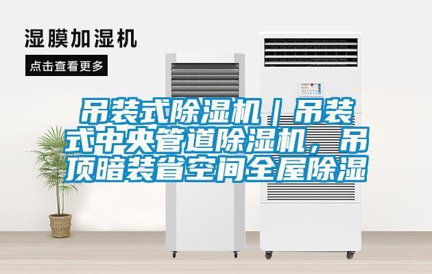 吊装式除湿机|吊装式中央管道除湿机,吊顶暗装省空间全屋除湿