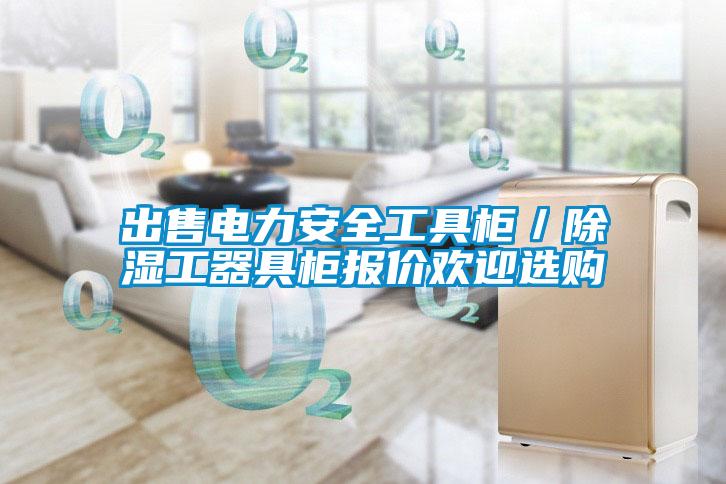 出售电力安全工具柜/除湿工器具柜报价欢迎选购