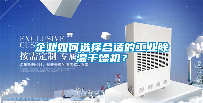 企业如何选择合适的工业除湿干燥机?