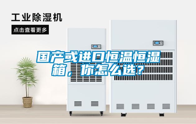 国产或进口恒温恒湿箱,你怎么选?