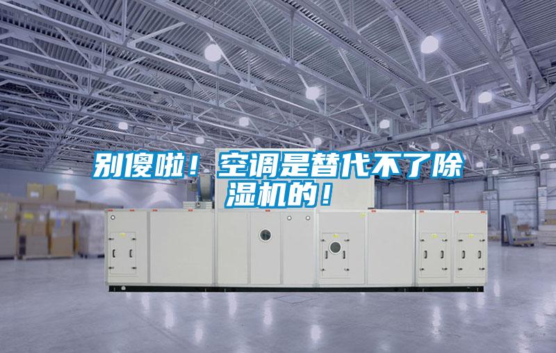 别傻啦!空调是替代不了除湿机的!