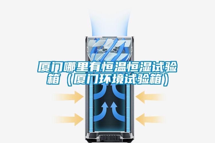 厦门哪里有恒温恒湿试验箱(厦门环境试验箱)