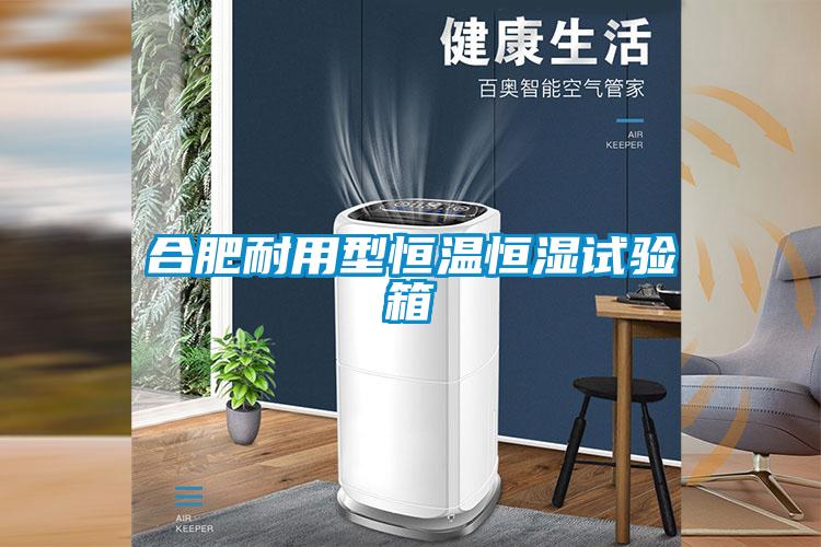 合肥耐用型恒温恒湿试验箱