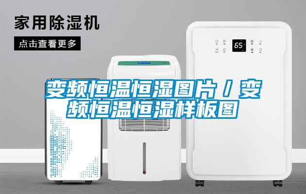 变频恒温恒湿图片/变频恒温恒湿样板图