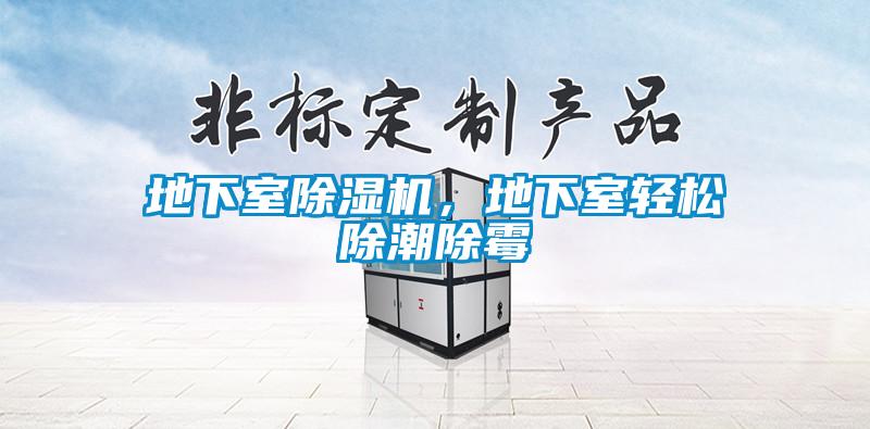 地下室除湿机,地下室轻松除潮除霉