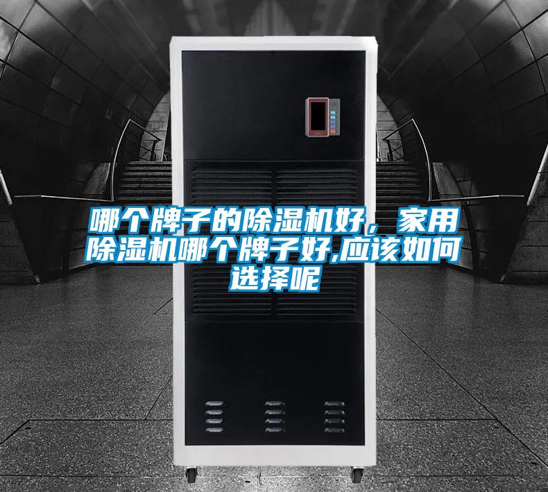 哪个牌子的除湿机好,家用除湿机哪个牌子好,应该如何选择呢
