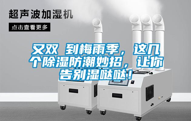 又双叒到梅雨季,这几个除湿防潮妙招,让你告别湿哒哒!