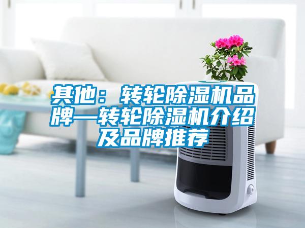 其他:转轮除湿机品牌—转轮除湿机介绍及品牌推荐