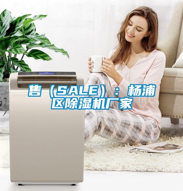 售(SALE):杨浦区除湿机厂家