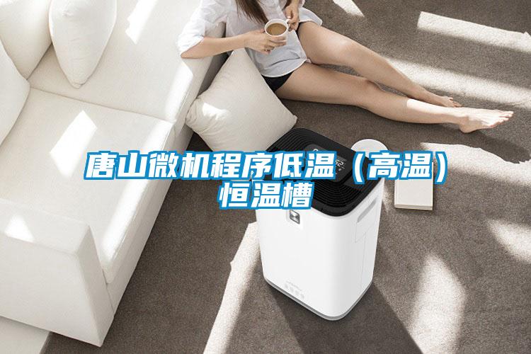 唐山微机程序低温(高温)恒温槽