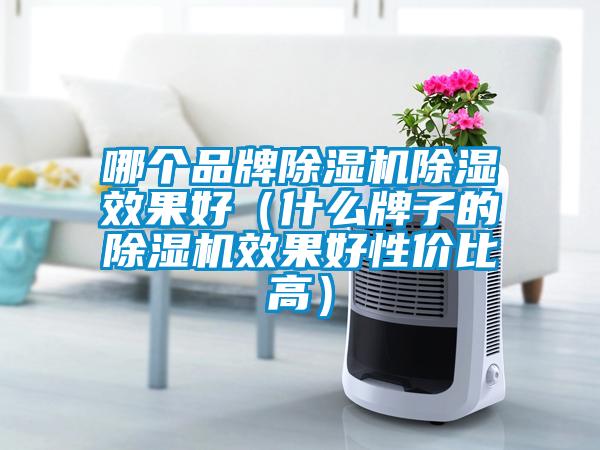 哪个品牌除湿机除湿效果好(什么牌子的除湿机效果好性价比高)